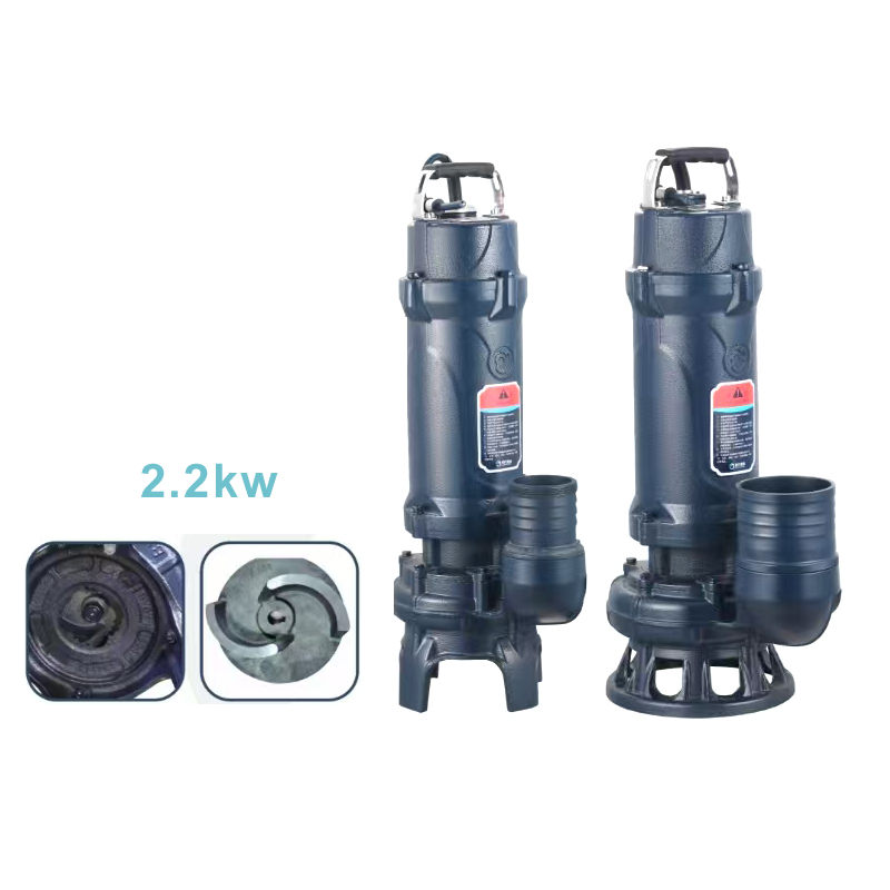 B Series(2.2kw)Sewage pump