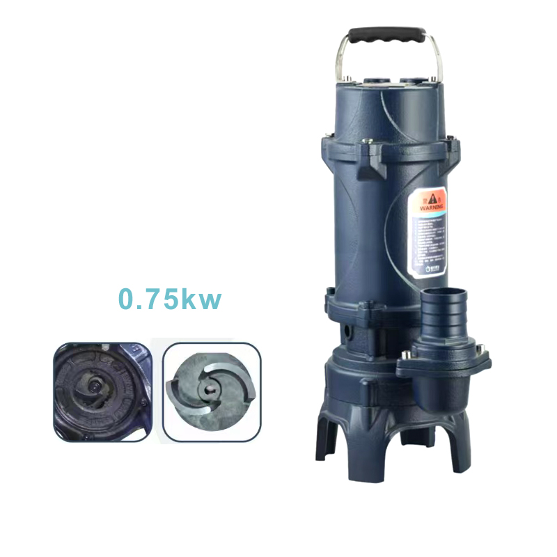 B Series(0.75kw)Sewage pump